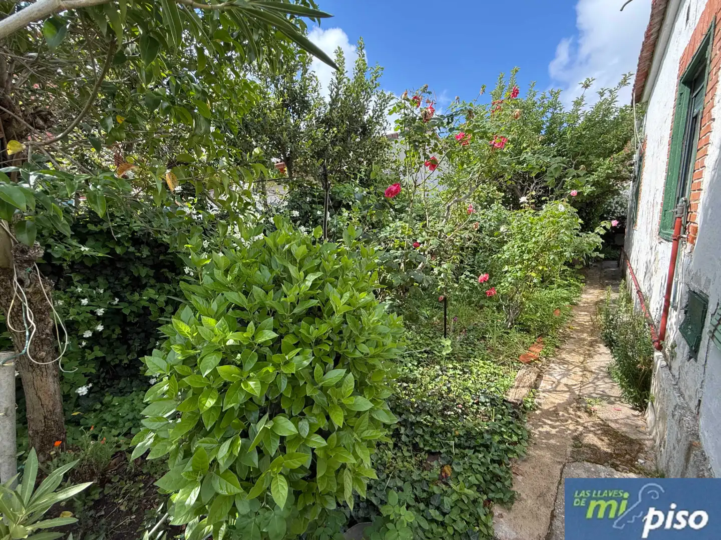 Jardín de Casa o chalet en venta en Valladolid con Jardín privado, Parquet y Terraza