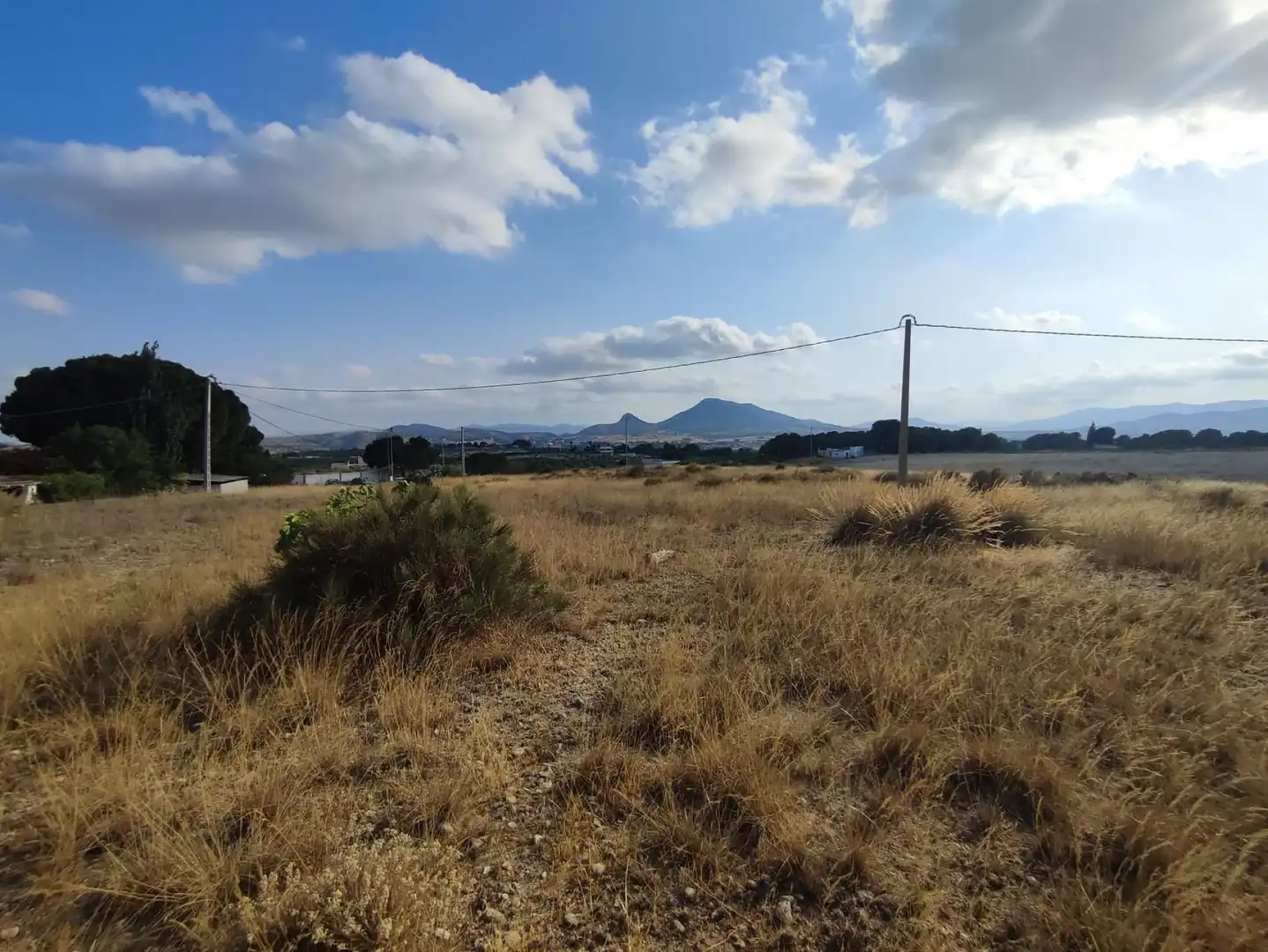 Residential land for sale in Sax, imagen 6