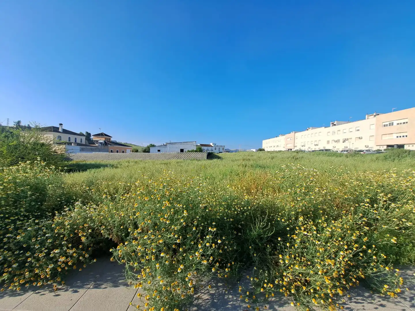 Residencial en venda a Ua-45, 3, Marchena