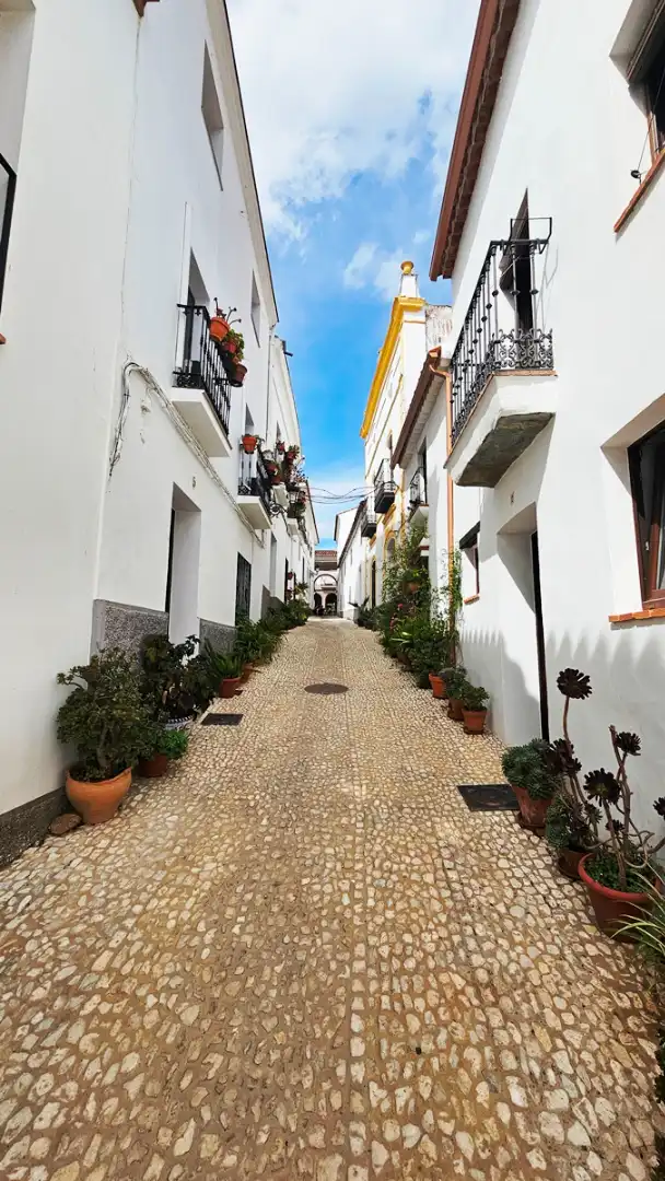 Casa amb terrassa en venda a Calle Minarete, imagen 3