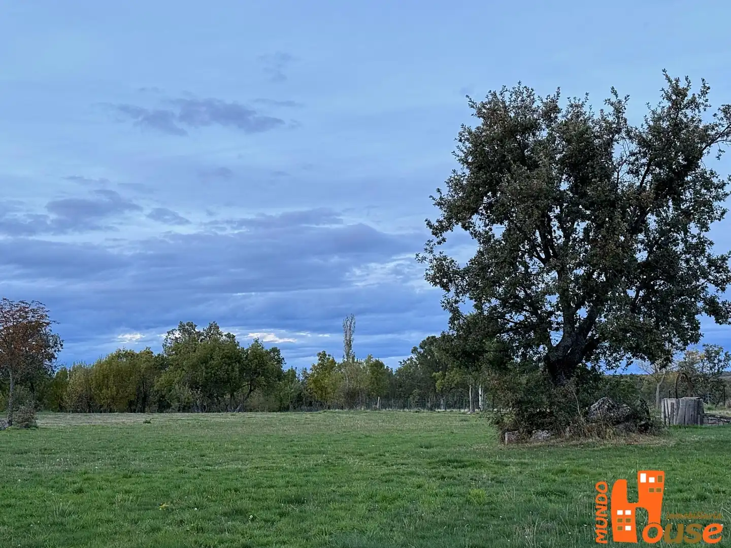 Terreni e lotti in vendita a Carretera de Turégano, imagen 39
