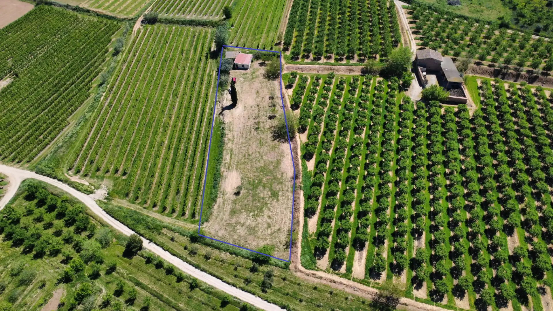 Terreno en venta en Les Borges Blanques