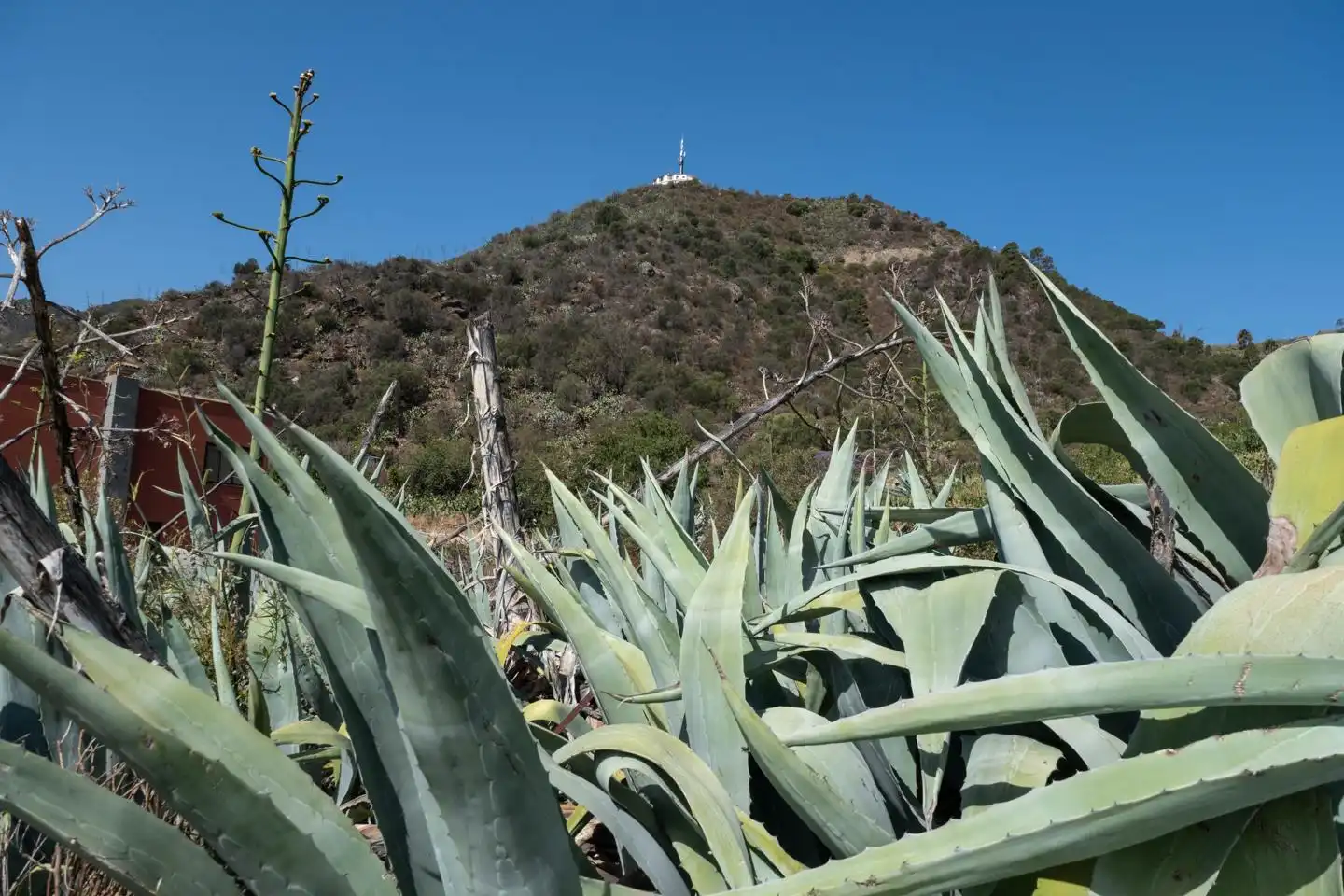 Lands and plots for sale in Los Ortegas, imagen 6