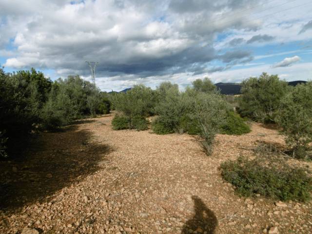 Terreno en Venta en Useras /  Les Useres