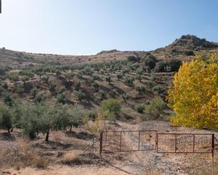 Grundstücke zum verkauf in La Peza