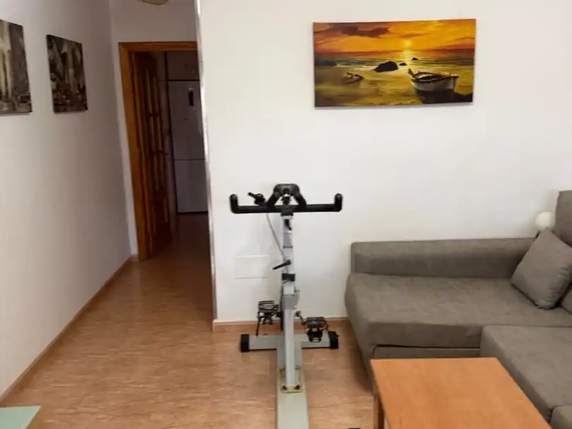 Sala d'estar de Casa o xalet en venda en El Ejido amb Aire condicionat, Jardí privat i Terrassa
