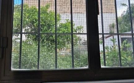 Photo 3 of Single-family semi-detached for sale in Pasteleria, Bornos, Cádiz