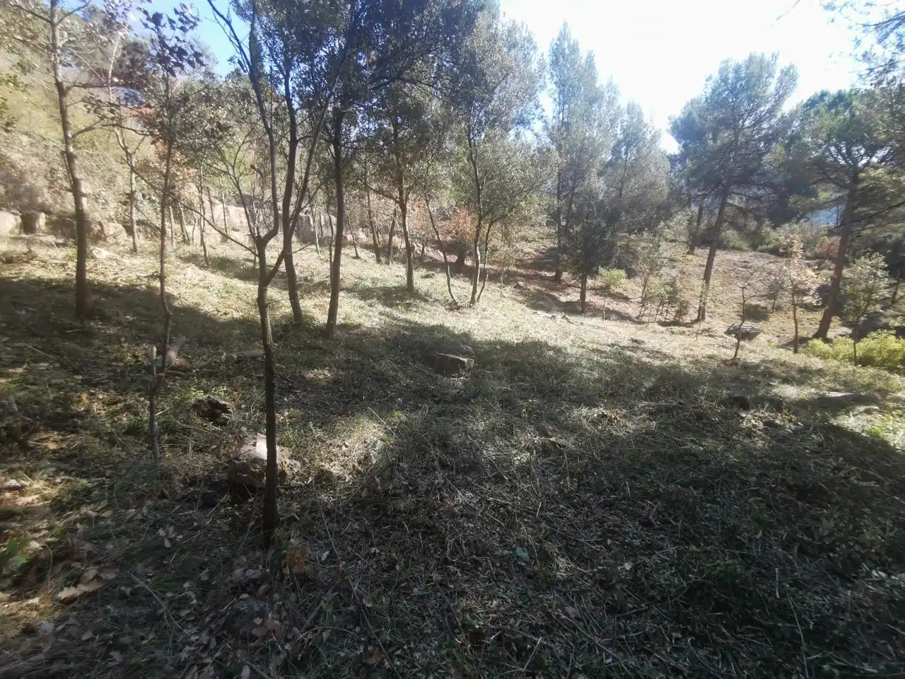 Terrenos y solares en venta en Joan Miró, imagen 4