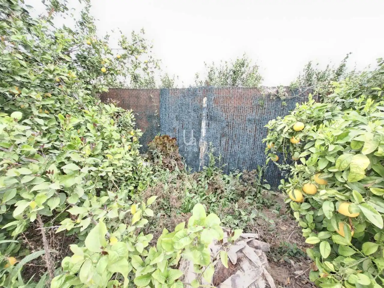 Finca rústica en venda en Murcia amb Aire condicionat, Jardí privat i Piscina