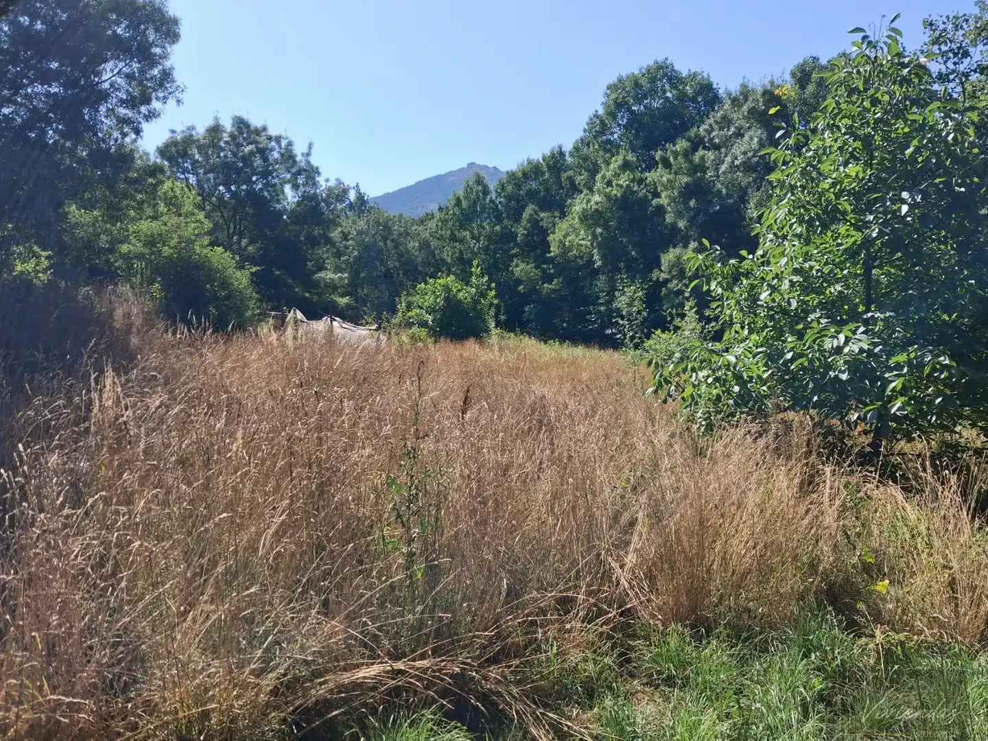 Finca rústica en venta en Bustarviejo