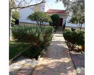 Jardí de Casa o xalet en venda en Montequinto amb Aire condicionat, Terrassa i Piscina