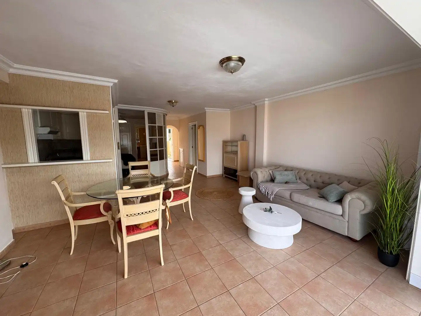 Apartment with terrace to rent in Zona Botánico, imagen 5