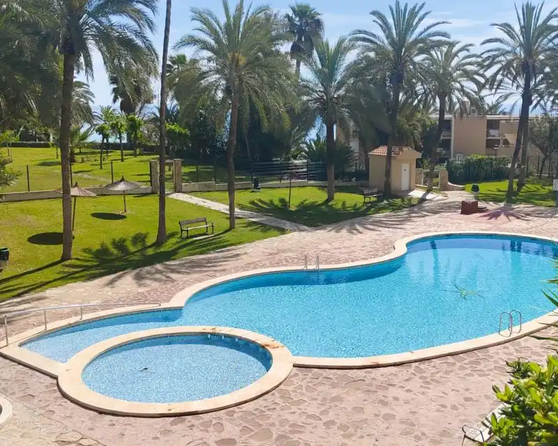 Piscina de Apartamento de alquiler en El Campello con Terraza, Amueblado y Horno