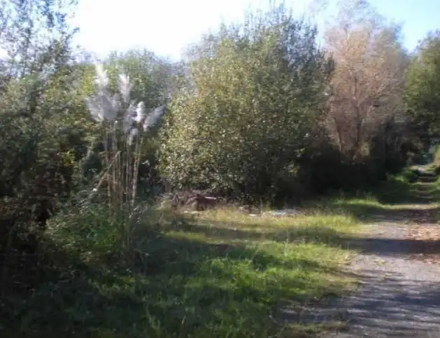 Terreno rustico in vendita a Camiño Tombo 9, imagen 2