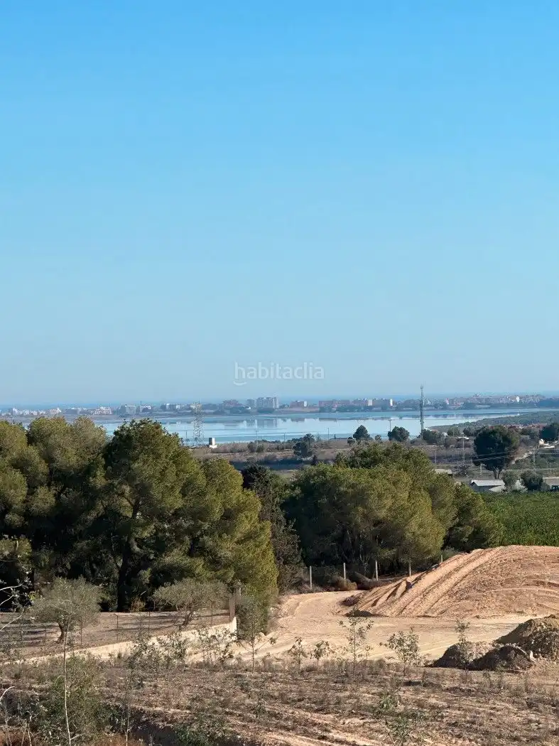 Terrain rustique à vendre à Camino de Catral 31, imagen 3