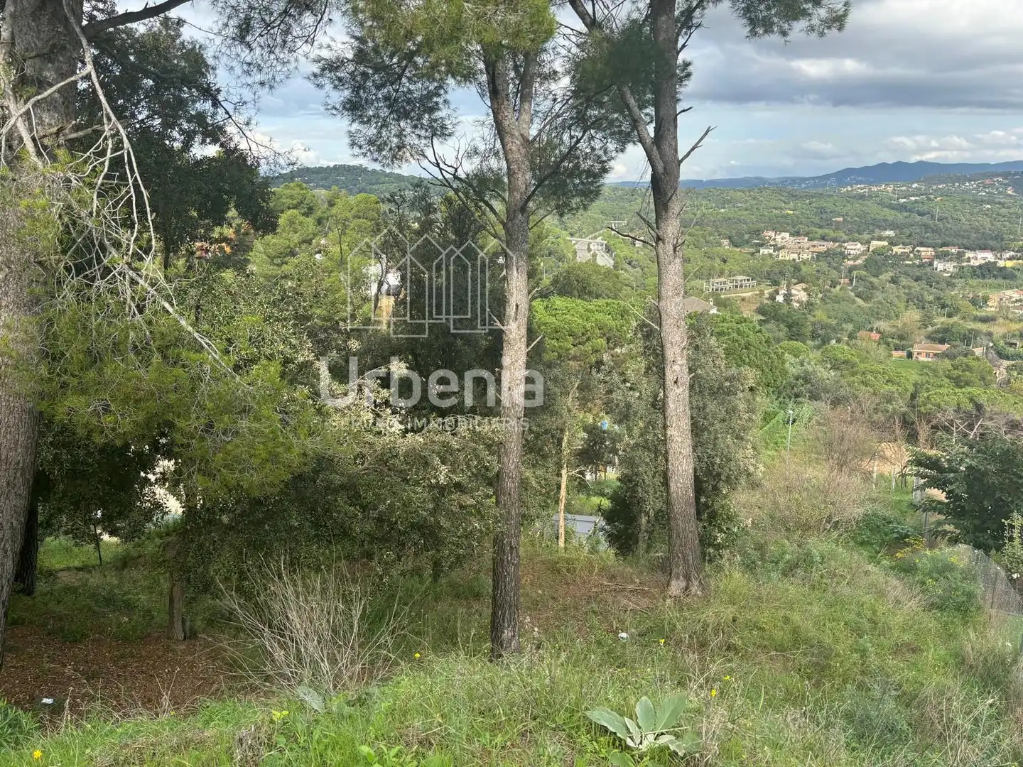 Rural land for sale in Palafolls, imagen 2