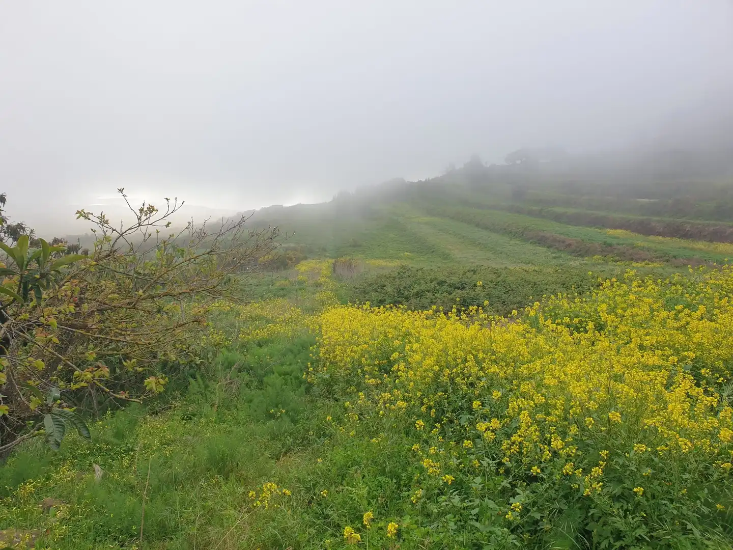 Terreni e lotti in vendita a Hermandad de Campoo de Suso, imagen 2