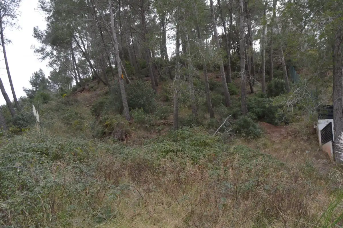 Terreni e lotti in vendita a Corbera de Llobregat, imagen 3