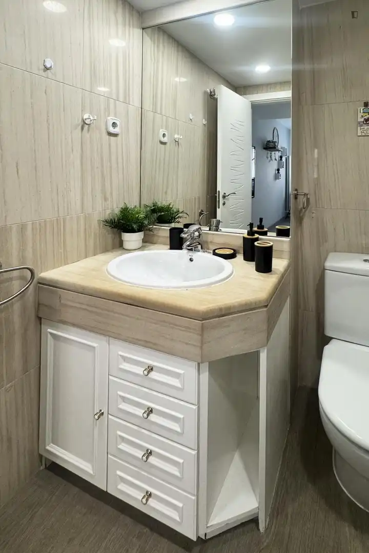 Bathroom of Apartments for rent in Madrid  with Heating, Furnished and Oven