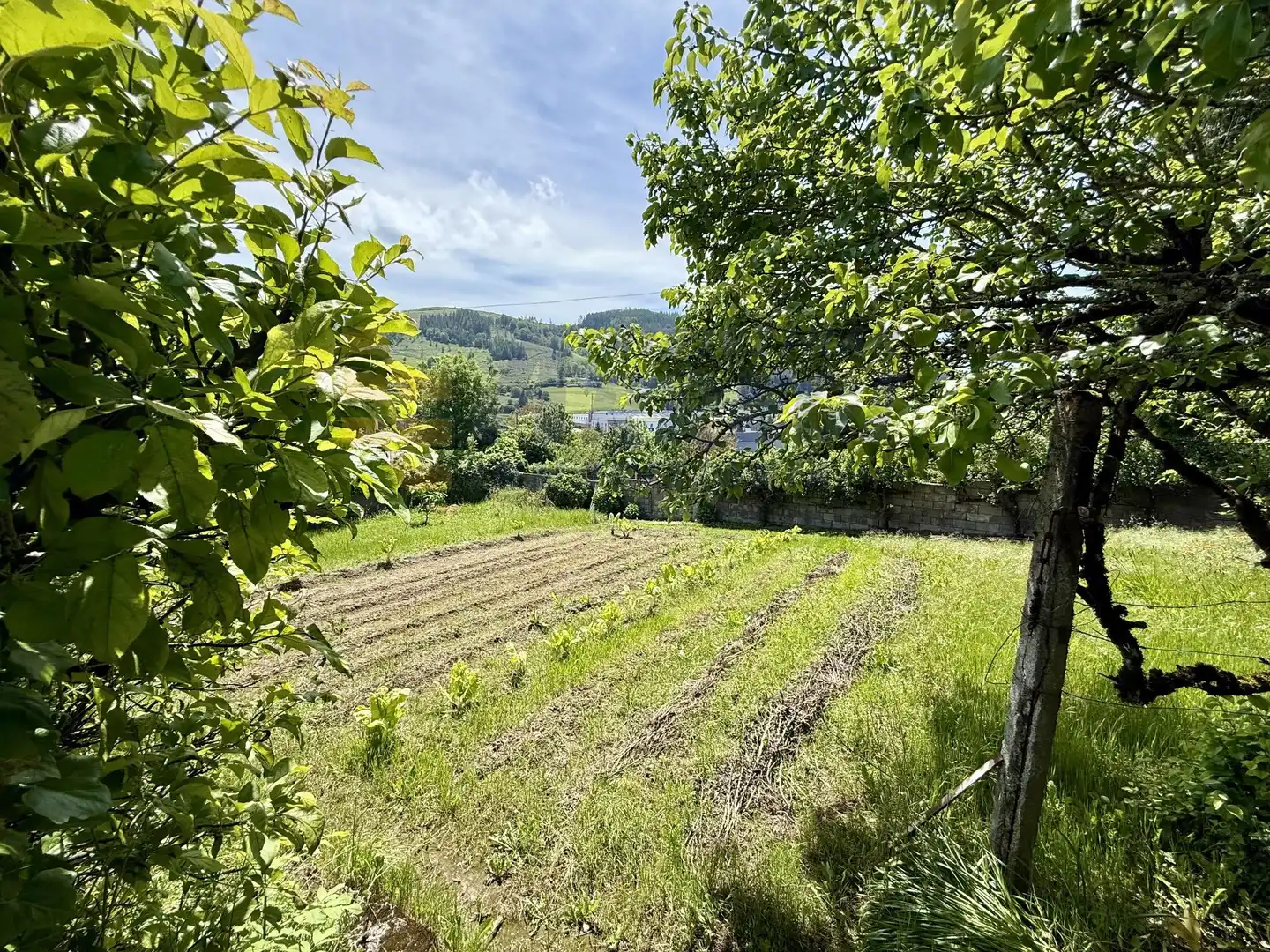 Houses for sale in Elgeta  with Private garden