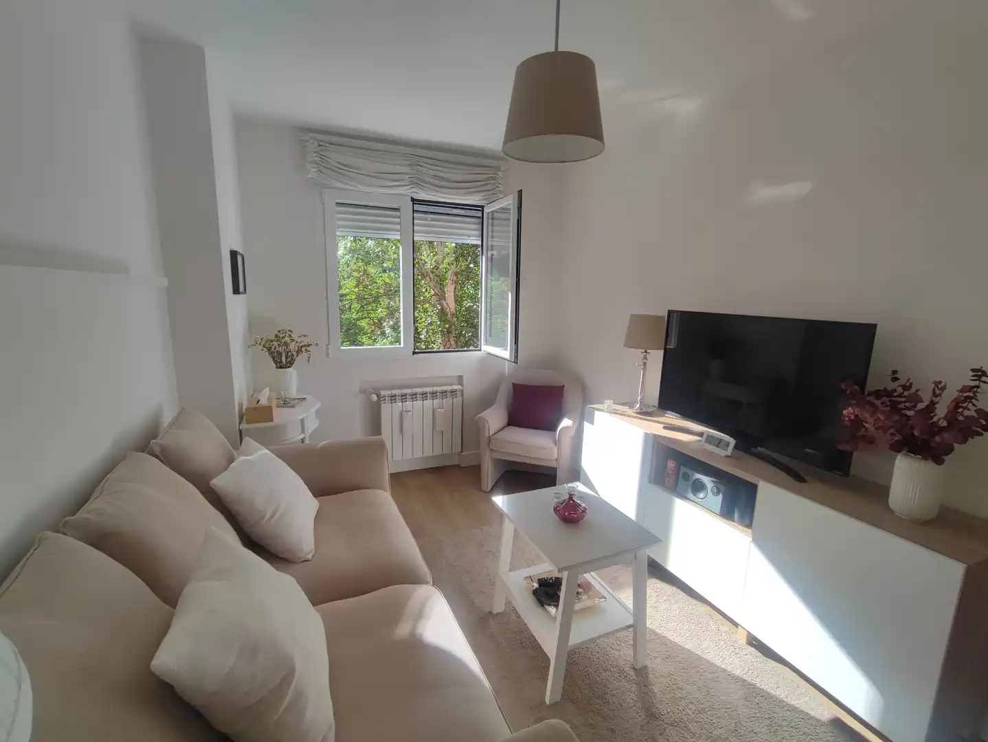 Sala de estar de Piso en venta en Madrid con Aire acondicionado, Calefacción y Jardín privado