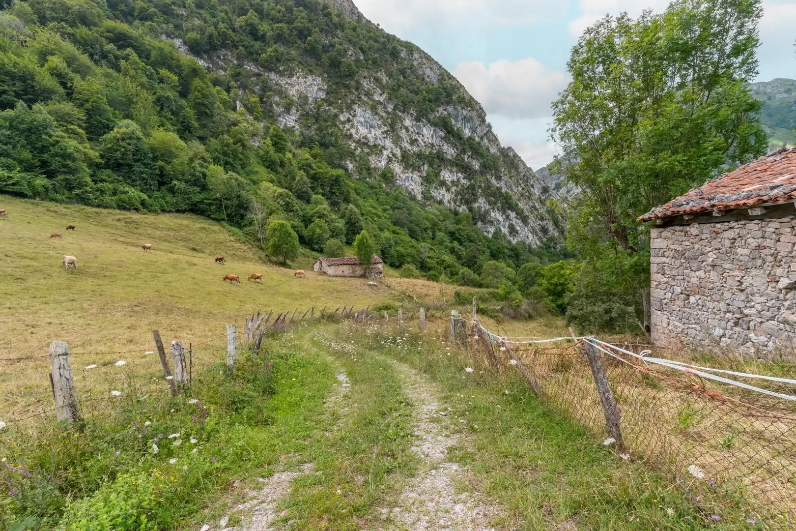 Exterior view of Houses for sale in Amieva