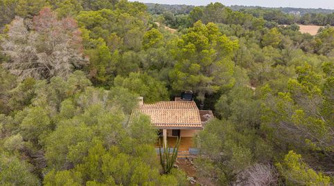 Foto 5 de Finca rústica en venda a Diseminado, 825, Petra, Illes Balears