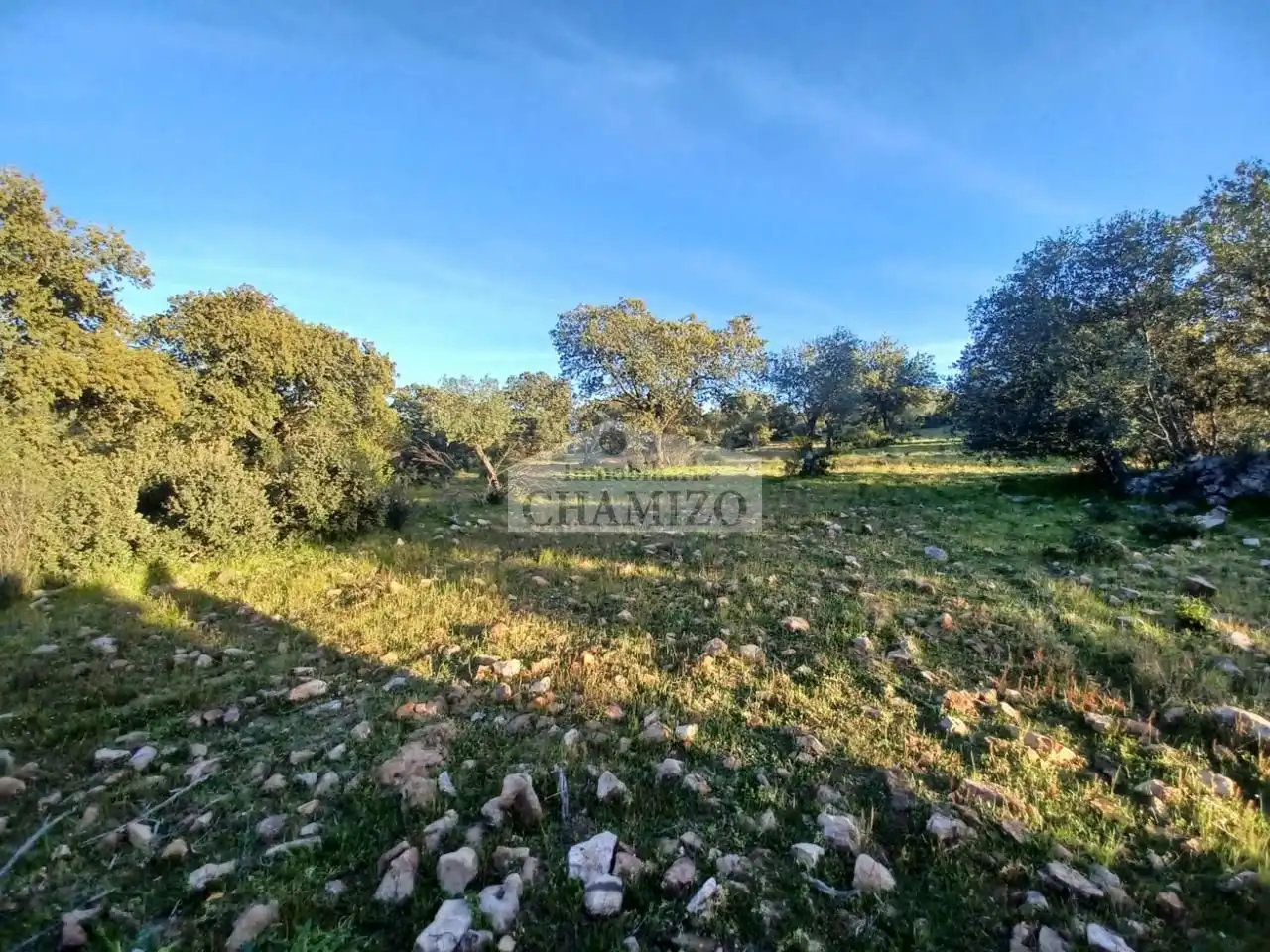 Grundstücke zum Verkauf in Peraleda del Zaucejo