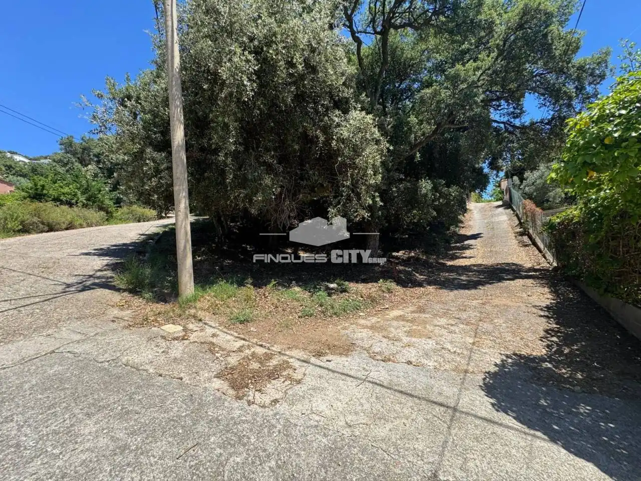 Residential land for sale in Calle Fores, imagen 4