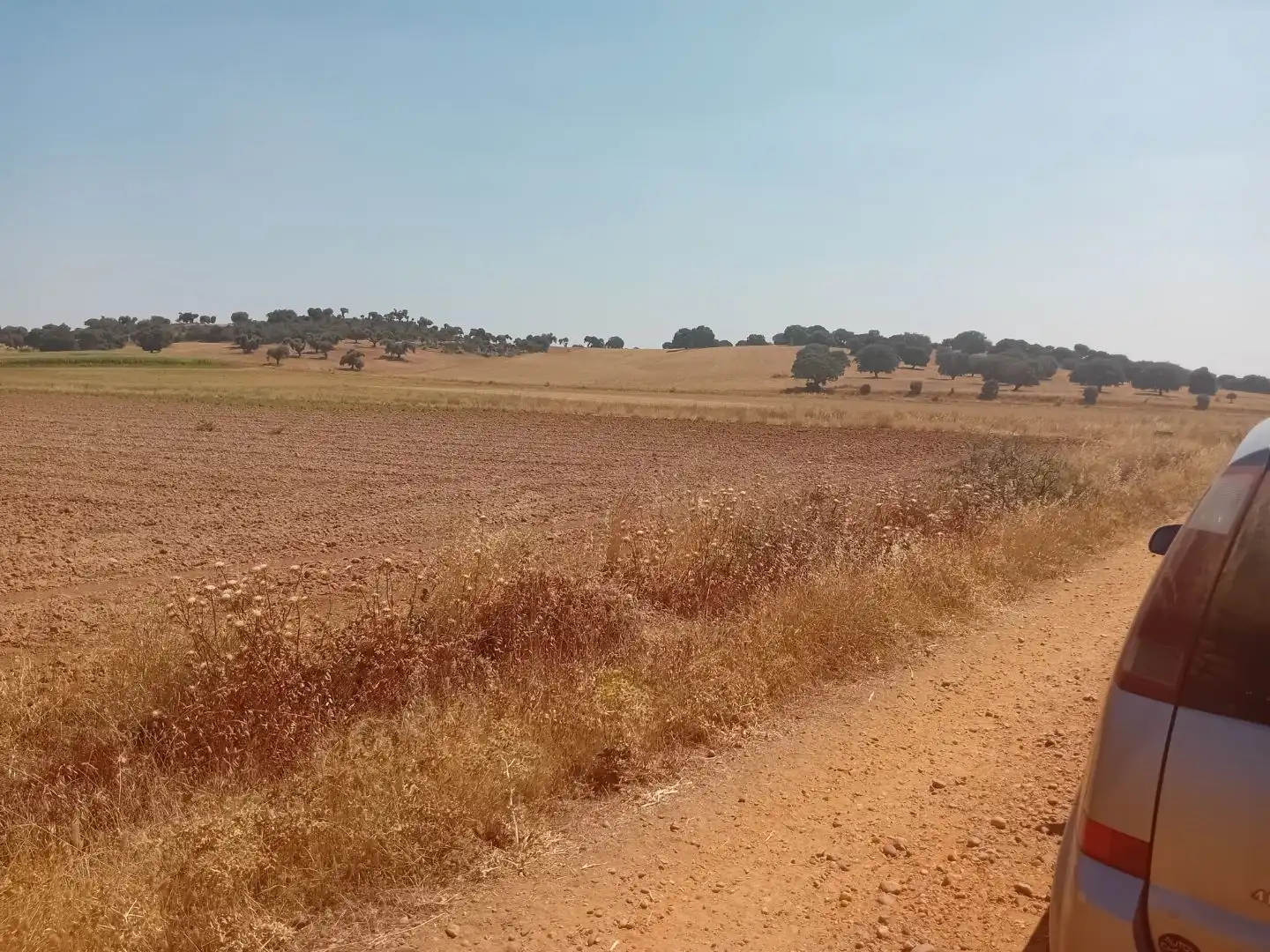Terreno en venta en Moreruela de Tábara