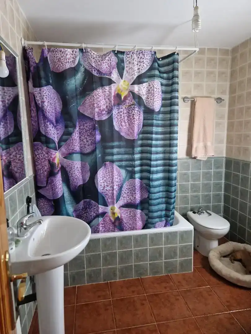 Baño de Casa o chalet en venta en Montesclaros con Jardín privado y Balcón