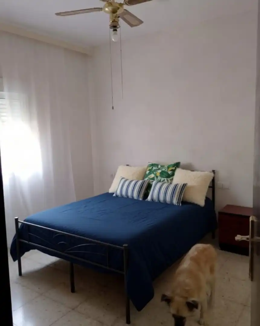 Casa amb terrassa en venda a Utrera ciudad, imagen 7