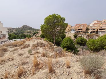 Terreny residencial en venda a Poble Nou - Montiboli