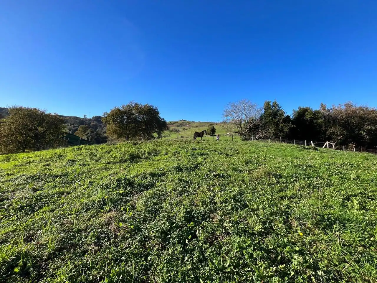 Lands and plots for sale in poligono, imagen 3