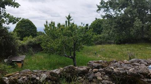 Foto 4 de Finca rústica en venda a Paraje Ortigalejo, Cabezabellosa, Cáceres