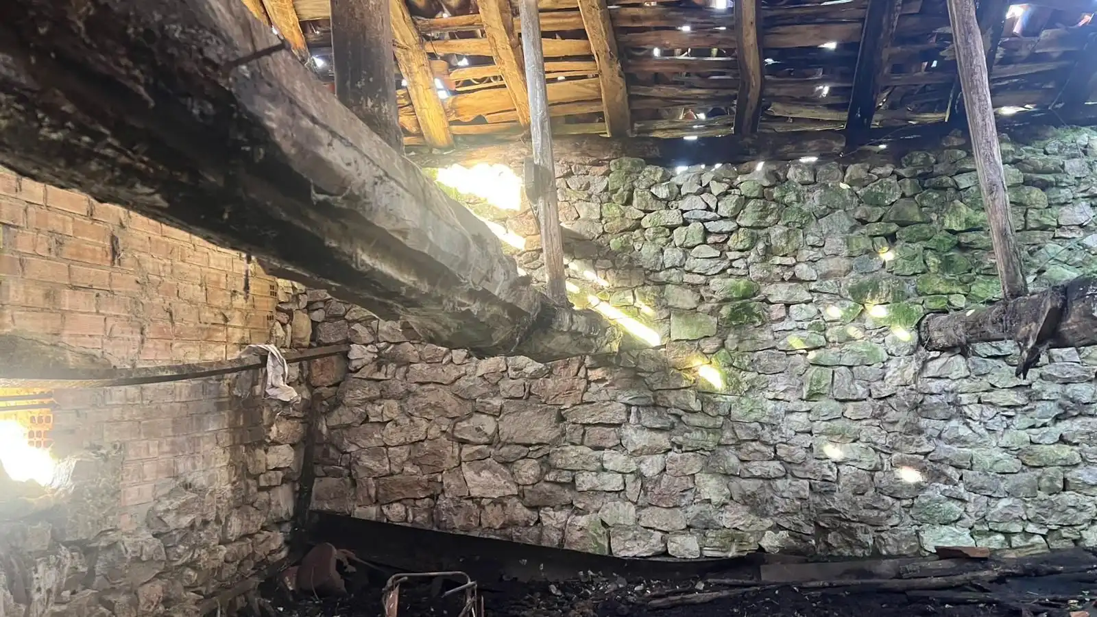 Terreno rustico in vendita a Cangas de Onís, imagen 37