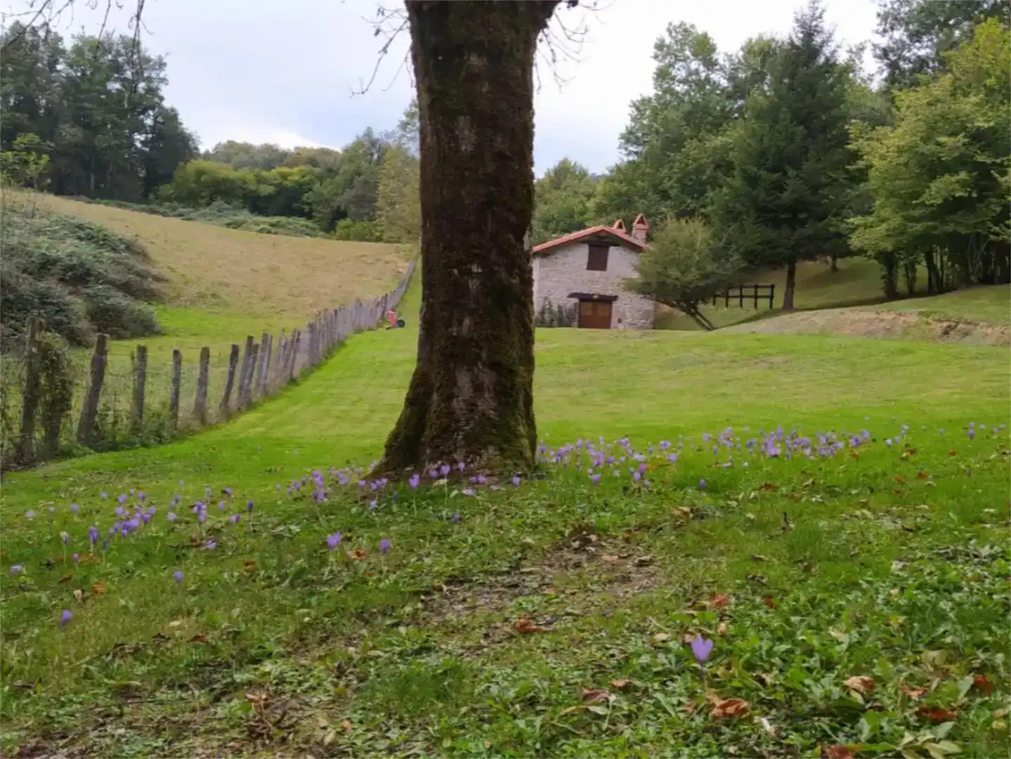 Garden of Country homes for sale in Larraun, Navarra