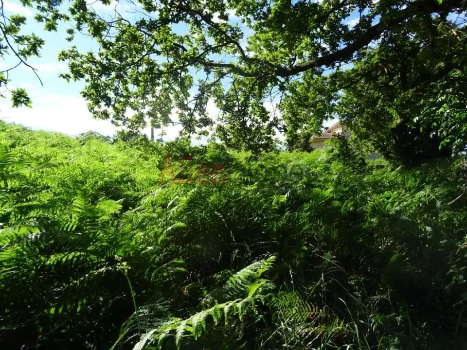 Jardí de Residencial en venda en Siero