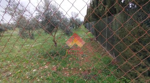 Photo 5 of Country house for sale in Casco Histórico, Málaga