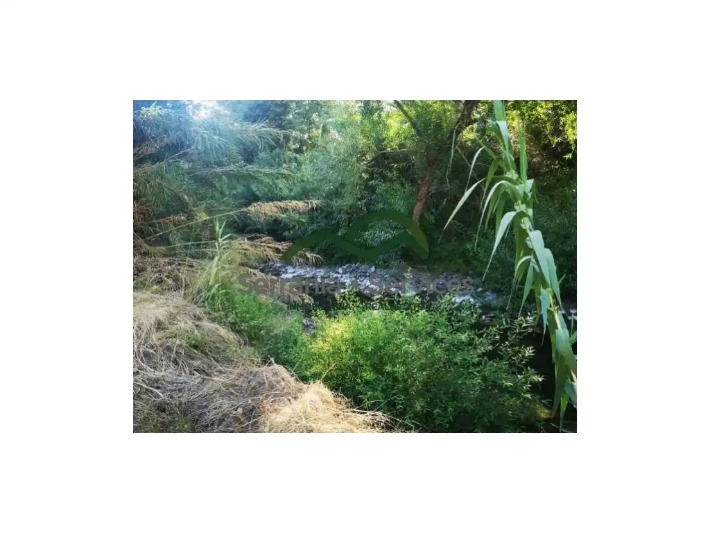 Jardín de Finca rústica en venta en Faraján
