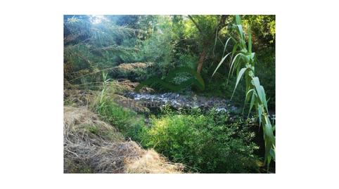 Foto 3 de Finca rústica en venda a Faraján, Málaga