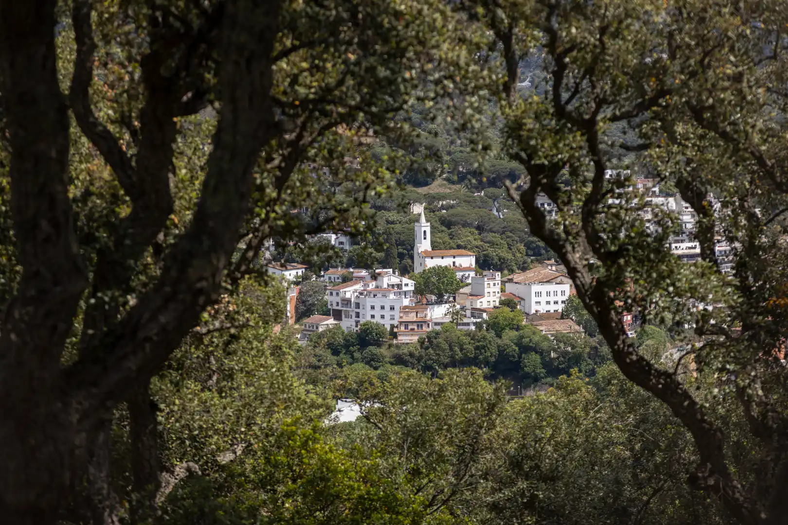 Vista exterior de Casa o xalet en venda en Sant Cebrià de Vallalta amb Aire condicionat, Calefacció i Jardí privat