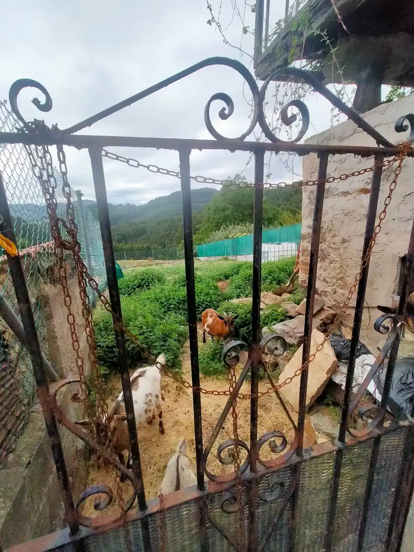 Casa rustica con giardino in vendita a Pravia, imagen 47