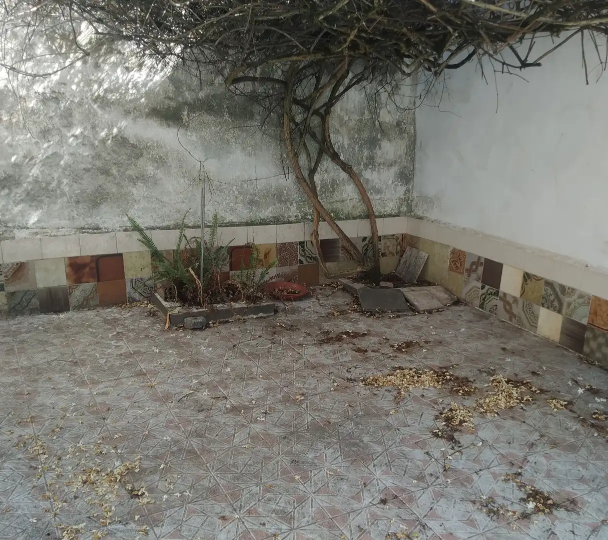 Haus mit Garten zum Verkauf in Zafra, imagen 9