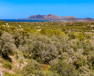 Land for sale in Pollença