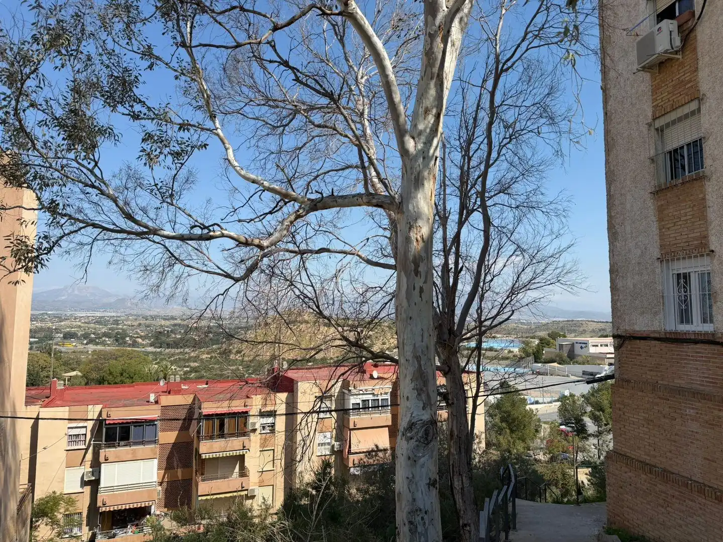 Vista exterior de Apartamento en venta en Alicante / Alacant con Aire acondicionado, Terraza y Amueblado
