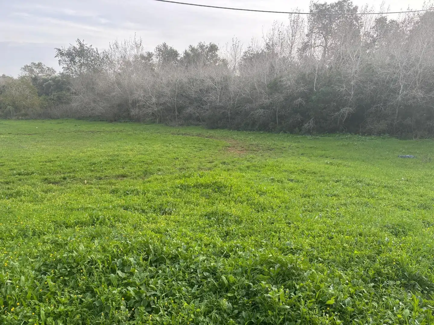 Terreno en venta en Vejer de la Frontera