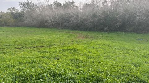 Foto 2 de Terreno en venta en La Muela, Vejer de la Frontera