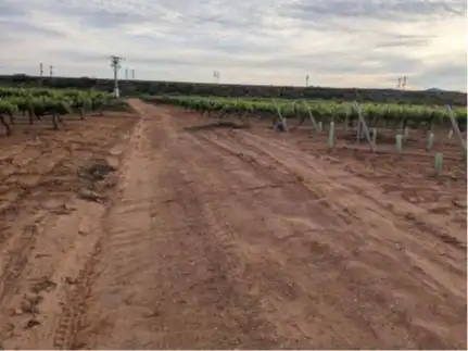 Terrain rustique à vendre à Requena, imagen 2