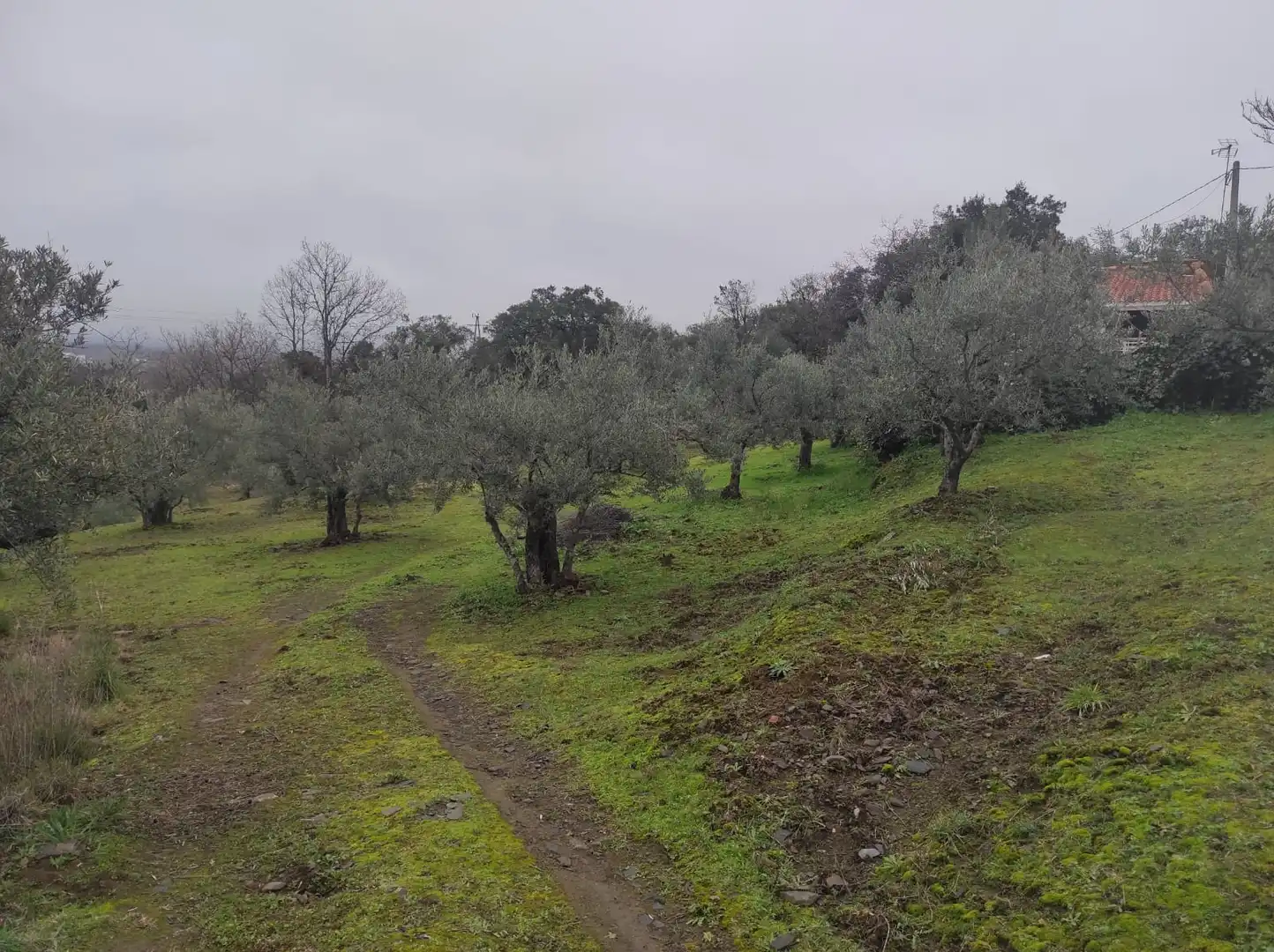 Terreno en venta en Plasencia